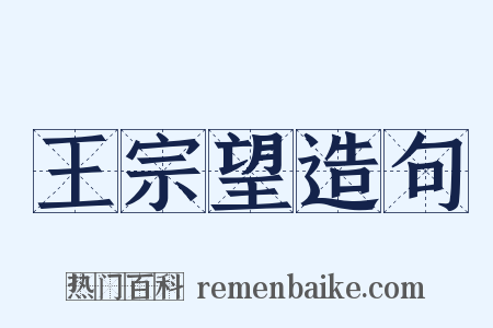 王宗望造句是什么意思的图片